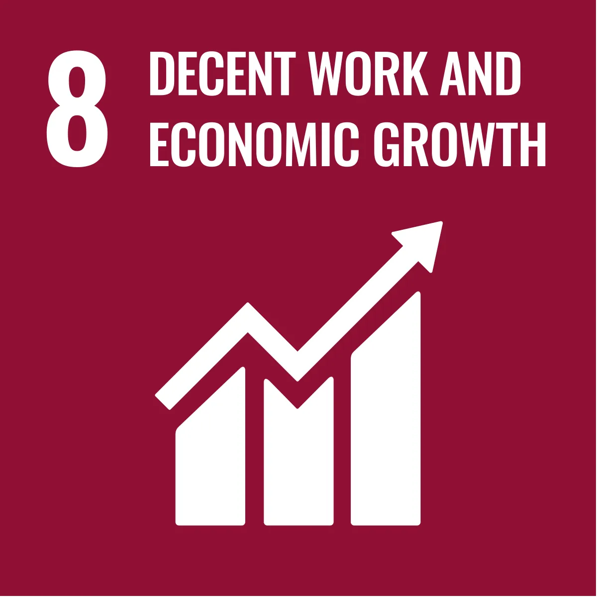 SDG 8 icon